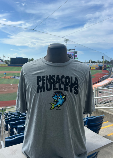 Pensacola Blue Wahoos Weathered Mullets Tee