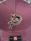 Pensacola Blue Wahoos x FSU Trucker