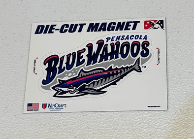 2023 Blue Wahoos (Miami Marlins) Team Card Sets – Pensacola Blue Wahoos  Official Store